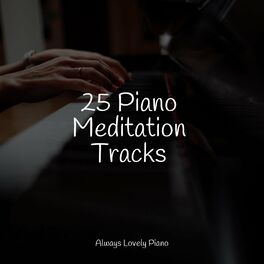 Album cover of 25 Piano Meditation Tracks