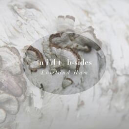 Album cover of Thin (B-Sides)