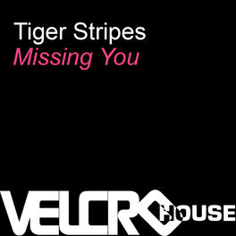 Album cover of Missing You