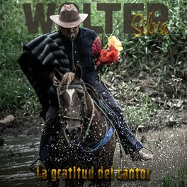 Album cover of La Gratitud del Cantor
