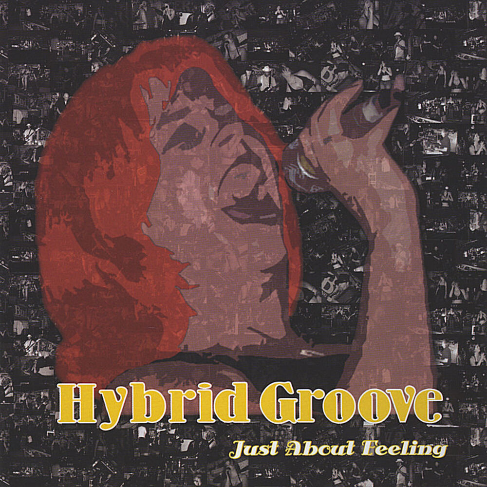 Hybrid blues. Hybrid - i choose Noise [2006].