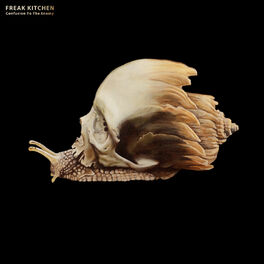 Album cover of Confusion to the Enemy