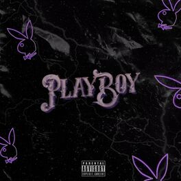 Download Playboy Aesthetic Blue Logo Wallpaper