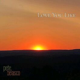 Album cover of Love You Like