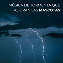 Album cover of Música De Tormenta Que Adoran Las Mascotas