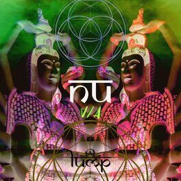 Album cover of Nu