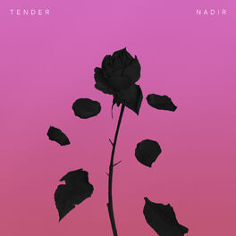 Album cover of Nadir