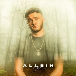 Album cover of Allein
