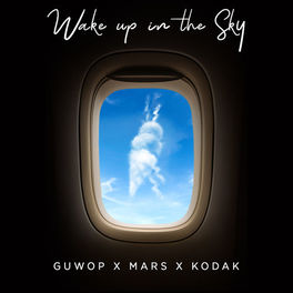 Album cover of Wake Up in the Sky