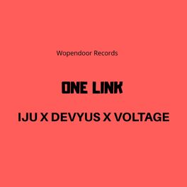 Album cover of One Link (feat. Devyus & Voltage)