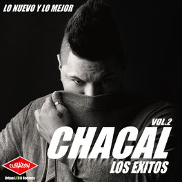 Album cover of Los Exitos, Vol.2 (Lo Nuevo y Lo Mejor)
