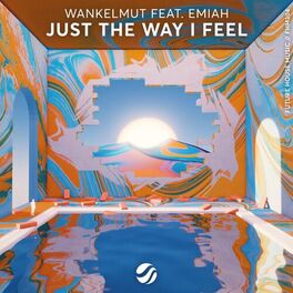 Album cover of Just The Way I Feel