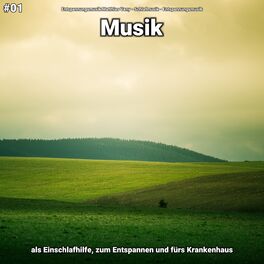 Album cover of #01 Musik als Einschlafhilfe, zum Entspannen und fürs Krankenhaus