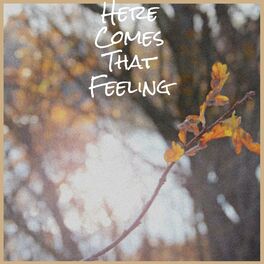 Album cover of Here Comes That Feeling