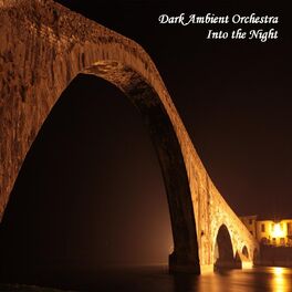 Album cover of Into the Night