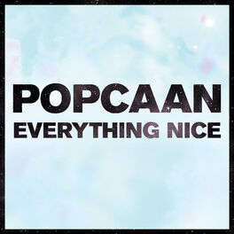Album cover of Everything Nice - Remix (Remix)