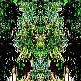 Album cover of FATHER RA