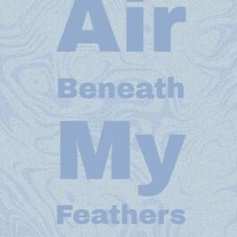 Album cover of Air Beneath My Feathers
