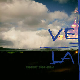Album cover of Vest