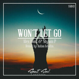 Album cover of Won't Let Go