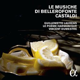 Album cover of Le musiche di Bellerofonte Castaldi (Alpha Collection)