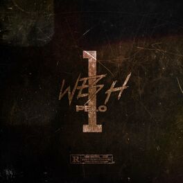 Album cover of WSH PELO 1 (feat. N7RMOU & MDK)