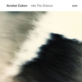 Album cover of Into The Silence