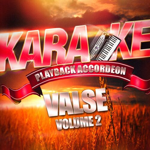 Hits des années 80 - Chanteurs français (Karaoke Playbacks