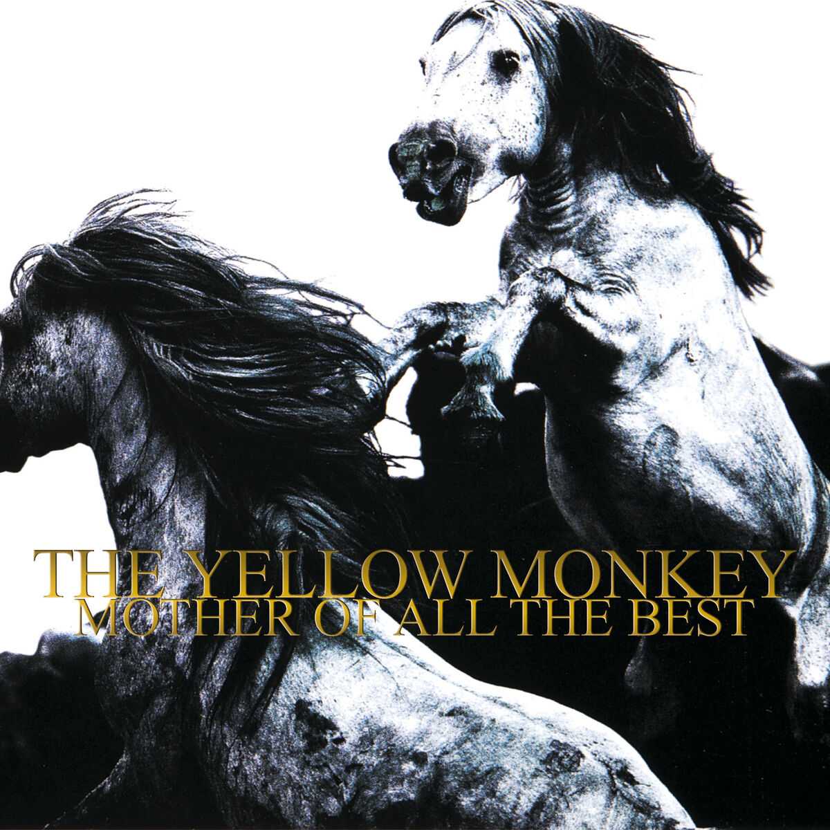 THE YELLOW MONKEY: albums, songs, playlists | Listen on Deezer