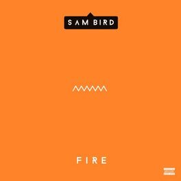 Album cover of Fire