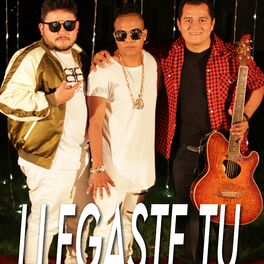 Album cover of Llegaste Tu