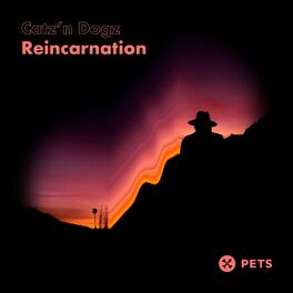 Album cover of Reincarnation EP