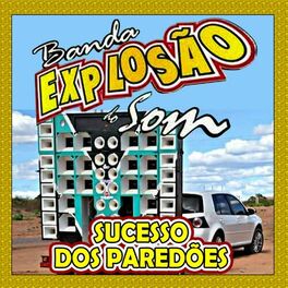 Album cover of SUCESSO DOS PAREDÕES