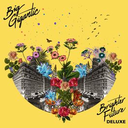 Album cover of Brighter Future (Deluxe Version)