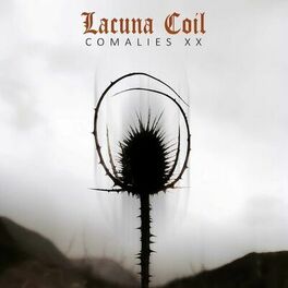 Album cover of Comalies XX