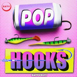 Album cover of Pop Hooks