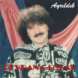 Album cover of Ayrıldık