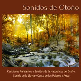Album cover of Sonidos de Otoño - Canciones Relajantes y Sonidos de la Naturaleza del Otoño, Sonido de la Lluvia y Canto de los Pajaros y Agua