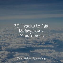 Album cover of 25 Tracks to Aid Relaxation & Mindfulness