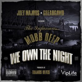 Album picture of We Own The Night (feat. Mobb Deep)