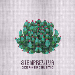Album cover of Siempreviva
