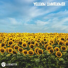 Album cover of Yellow Sunflower