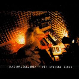 Album cover of Den Svenske Disco