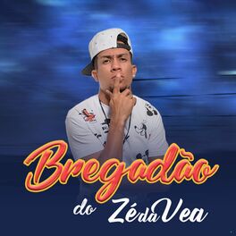Album cover of Bregadão do Zé da Vea