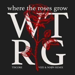 Album cover of Where The Roses Grow (VIZE & NOØN Remix)