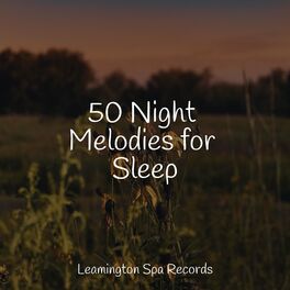 Album cover of 50 Night Melodies for Sleep