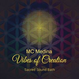 Album cover of Vibes of Creation