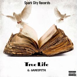 Album cover of True Life