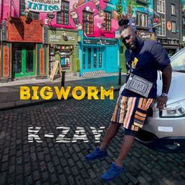Album cover of K Zay