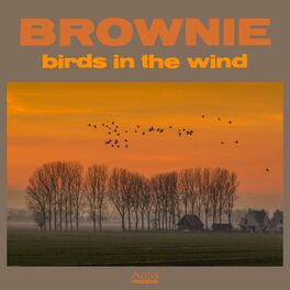 Album cover of birds in the wind